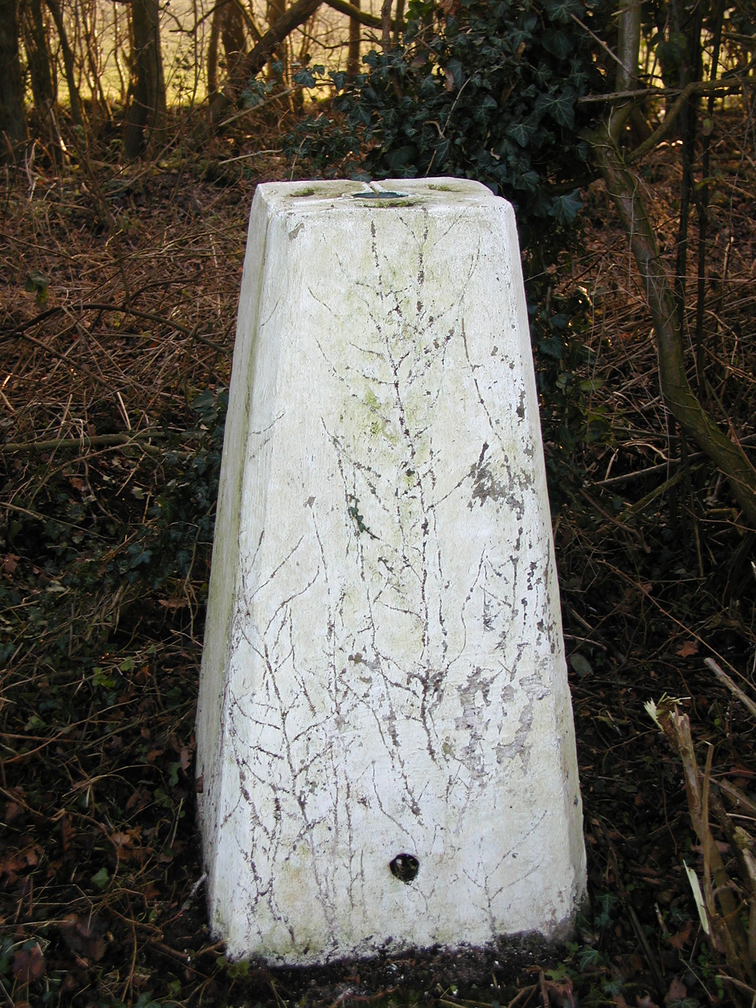 The Trig Point